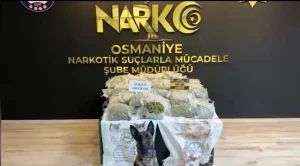 Osmaniye’de 36 Kilo Skunk Ele Geçirildi
