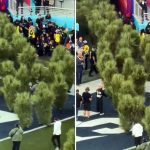 Super Bowl finaline damga vuran görüntü