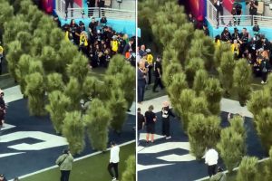 Super Bowl finaline damga vuran görüntü