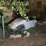 Adana’da Feci Kaza: Genç Sürücü Hayatını Kaybetti