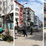 Ağaç Budama Çalışmaları Sürüyor