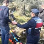 Aytın’da zeytinlik bakmaya gittiği arazide düşerek mahsur kaldı