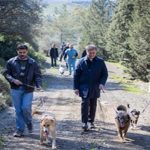Barınaklardan 3 binin üzerinde hayvan sahiplendirildi
