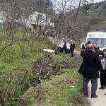 Başıboş sokak köpeği kazaya neden oldu: 1 ölü