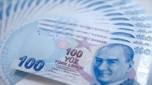 BES fon büyüklüğü ve katılımcı sayısı rekor kırdı