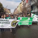 Bingöl’de Sigarayı Bırakma Yürüyüşü
