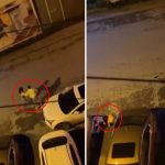 Dehşete düşüren görüntü: “Yapma, o kız” dese de dinlemedi