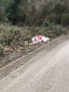 Düzce’de Göçmen Dramı: 1 Ölü, 28 Yakalandı