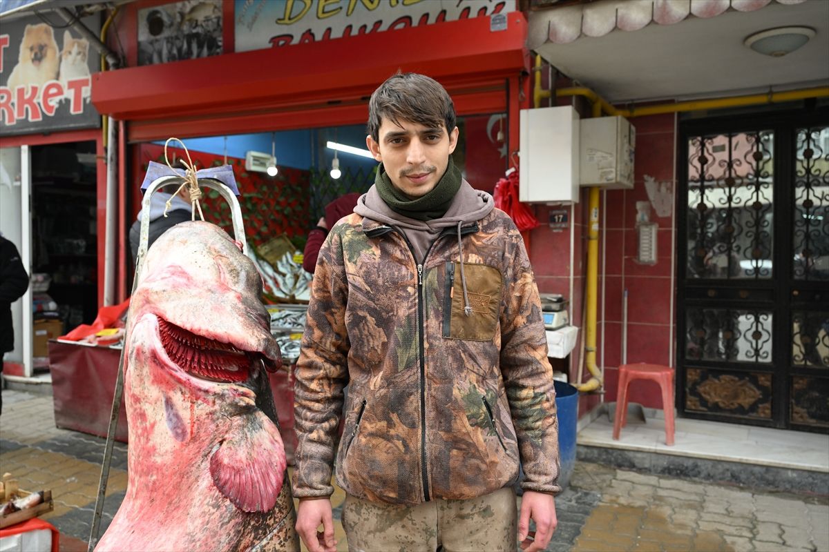 Edirne’de Dev Yayın Balığı Yakalandı