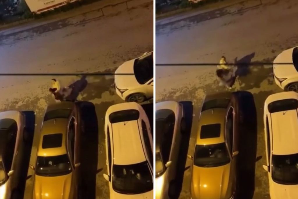 Genç kadını sokak ortasında defalarca yumrukladı