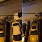 Genç kadını sokak ortasında defalarca yumrukladı