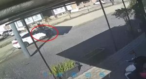 Hatay’da Bisikletli Adam Eşeği Kazada Hayatını Kaybetti