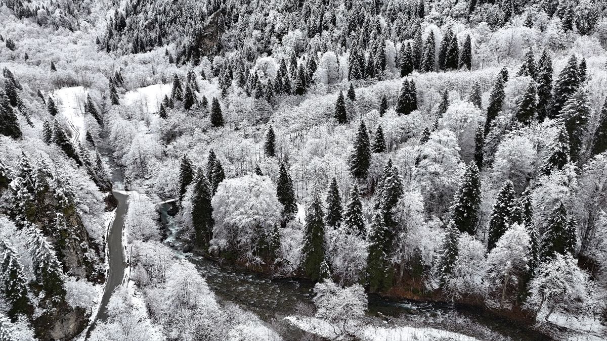 Kar Yağışı Ordu ve Rize’yi Beyaza Bürüdü