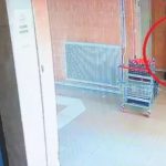 Kayseri’de Cinayet Davası: ‘Mecbur Kaldım’ Savunması