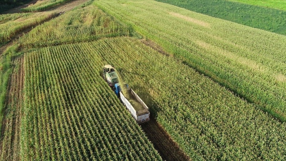 Kırsalda kalkınma 3 yılda 65,5 milyar liralık yatırım desteği