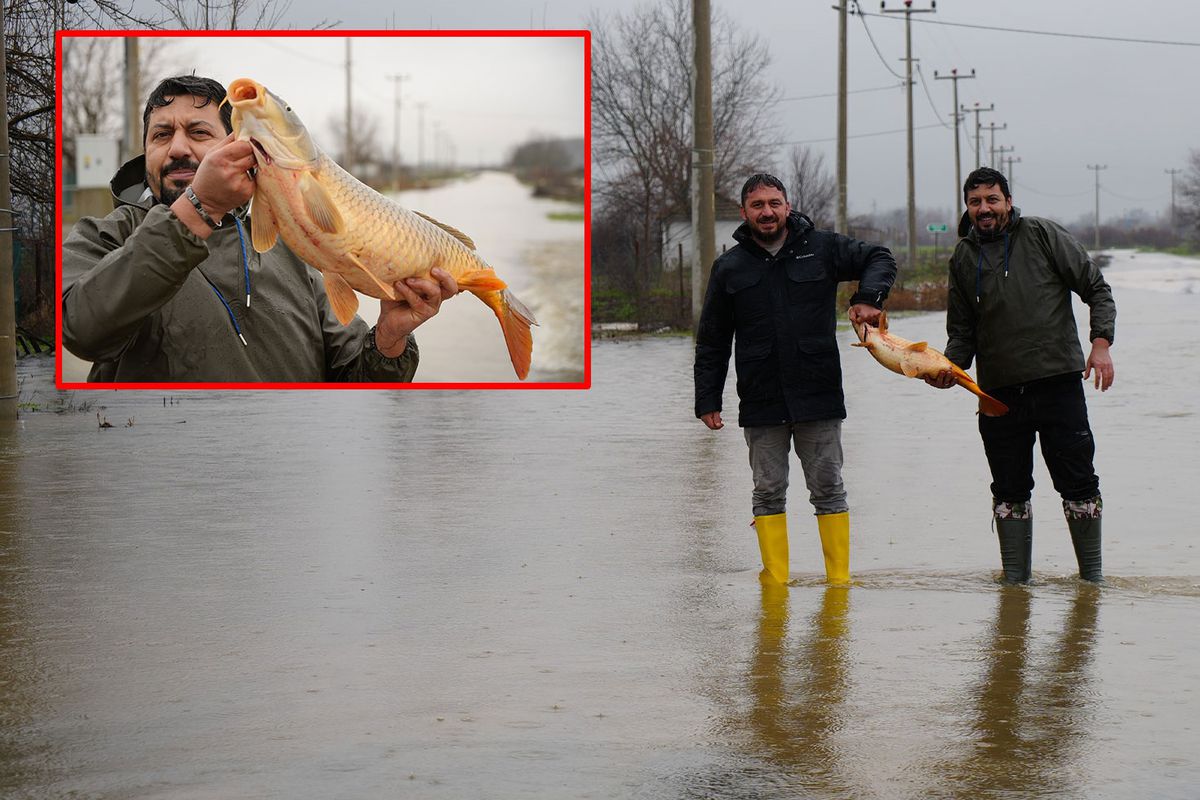 Meriç Nehri taştı, vatandaşlar tarla ve bahçelerde kilolarca balık tuttu