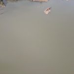 Muğla’da Barajlar Doldu, Kuraklık Devam Ediyor