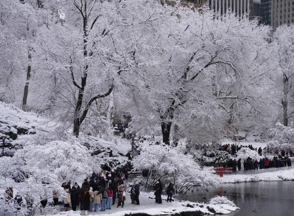 New York’ta Aşırı Soğuk 18 Can Aldı