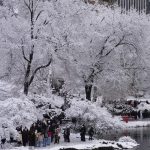 New York’ta Aşırı Soğuk 18 Can Aldı