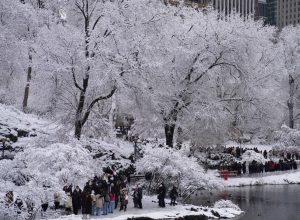 New York’ta Aşırı Soğuk 18 Can Aldı