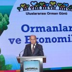 Ormanların Ekonomik Gücüne Dikkat Çekildi