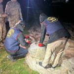 Suruç ve Akçakale’de Uyuşturucu Operasyonu