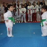 Taşova Kaymakamı Kartal’dan tekvando kursuna ziyaret