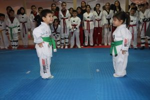 Taşova Kaymakamı Kartal’dan tekvando kursuna ziyaret