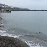 Tekirdağ’da Deniz Ulaşımı Normale Döndü