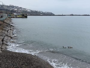 Tekirdağ’da Deniz Ulaşımı Normale Döndü