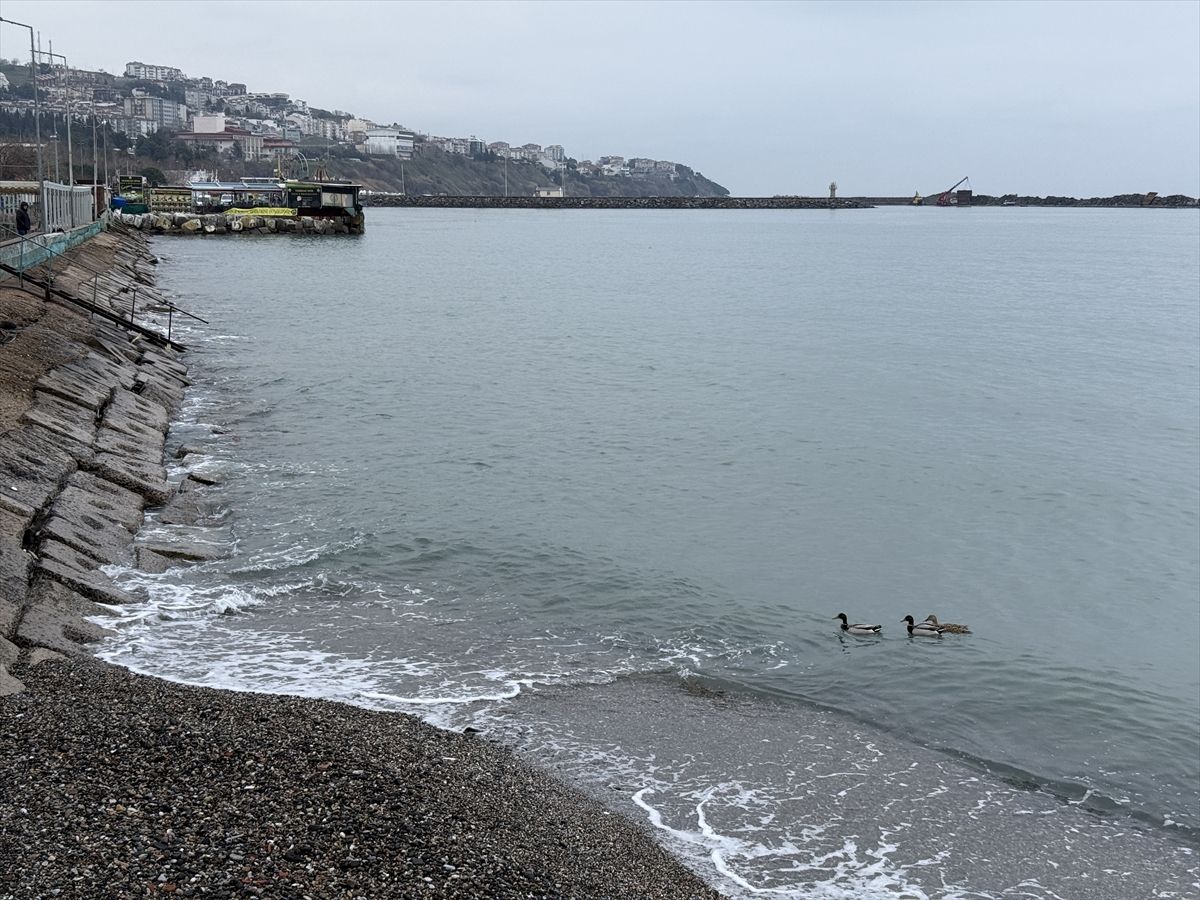 Tekirdağ’da Deniz Ulaşımı Normale Döndü