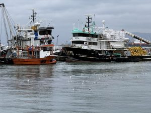 Tekirdağ’da Poyraz Deniz Ulaşımını Etkiliyor