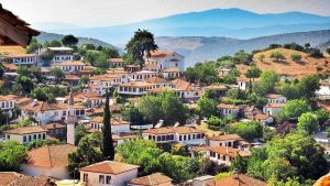TÜİK verilerinde şaşırtıcı detay: Üç köyde yalnızca 1 kişi yaşıyor