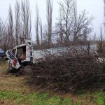 Uşak’ta Kamyon Ağaçlara Çarptı: 4 Yaralı