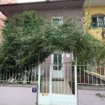 Yaşlı çiftin ölümünde sır perdesi aralandı! Altın detayı dikkat çekti