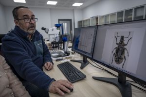 Yeni Hortumlu Böcek Türleri Keşfedildi