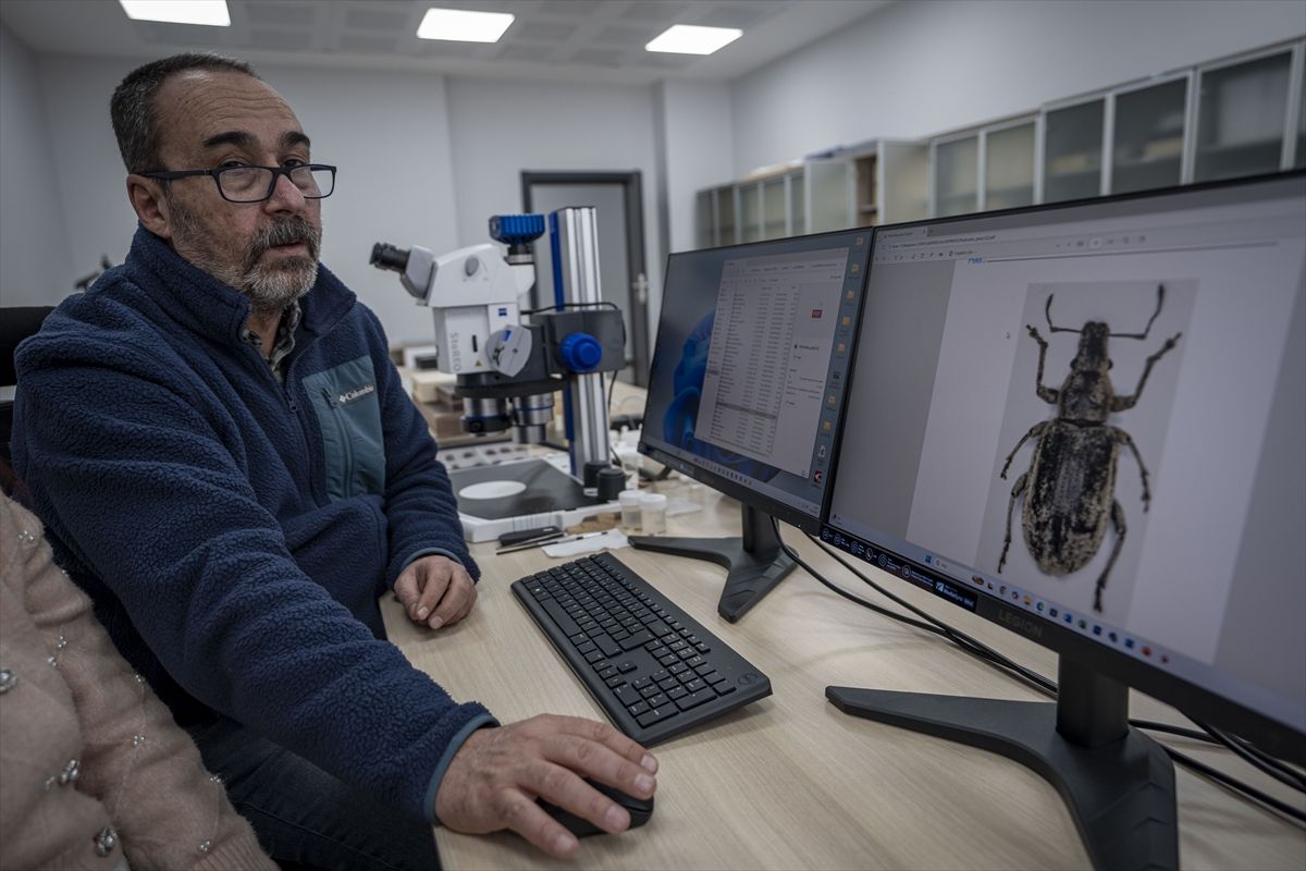 Yeni Hortumlu Böcek Türleri Keşfedildi