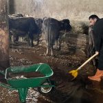 Yüksekova’da Sel Baskınları
